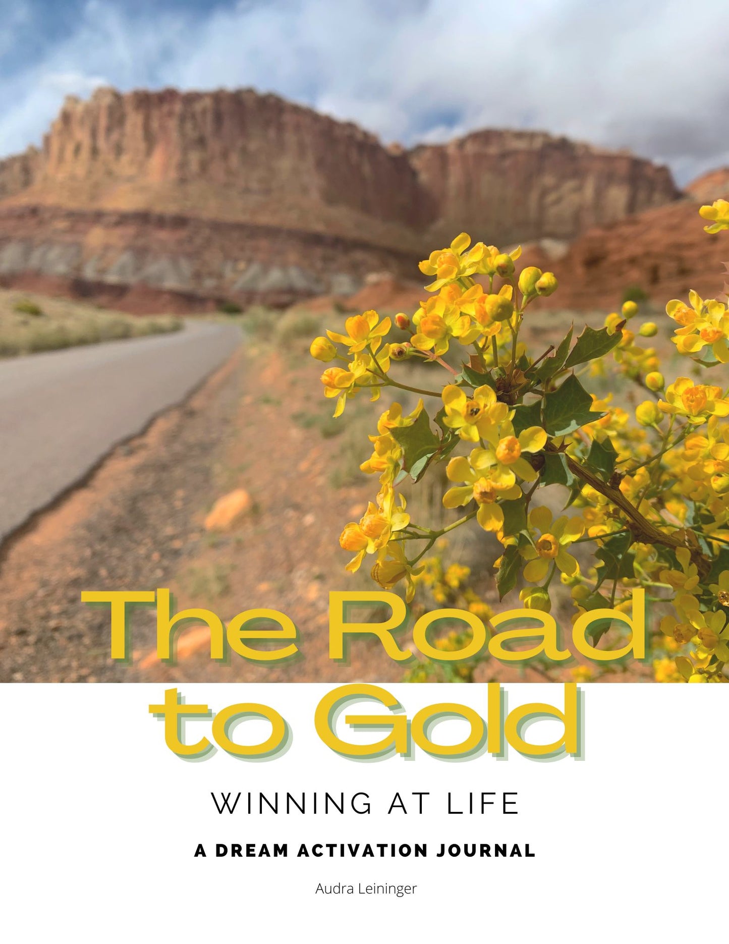 Digital Download of The Road to Gold: Winning at Life Dream Activation Workbook
